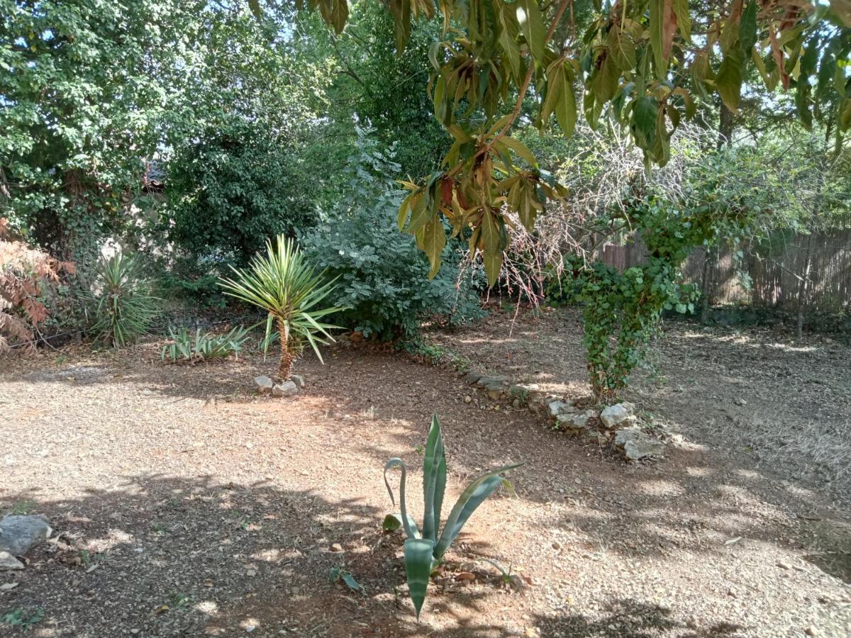 Bas De Villa Au Chant Des Cigales Lorgues Esterno foto