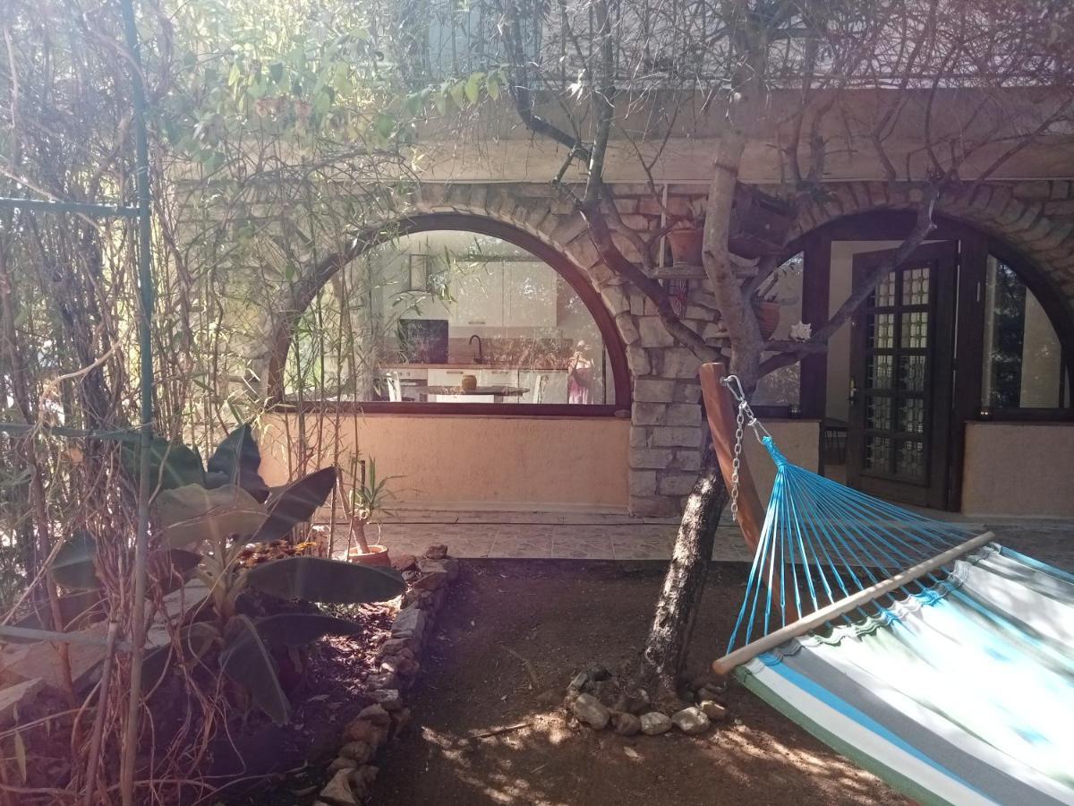 Bas De Villa Au Chant Des Cigales Lorgues Esterno foto